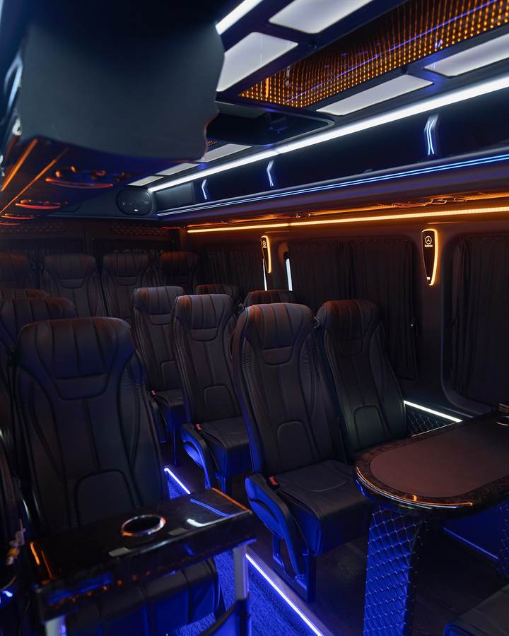 Mercedes-Benz Sprinter VIP — Задний ряд